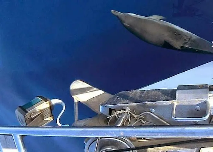 3 Or 5 Days Sailing Cruise In Croatia 스플리트