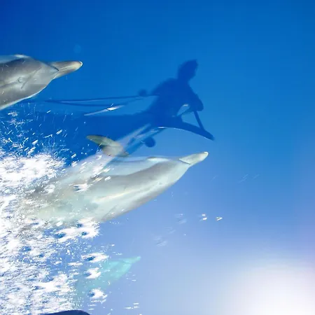 3 Or 5 Days Sailing Cruise In Croatia Σπίτι διακοπών Σπλιτ