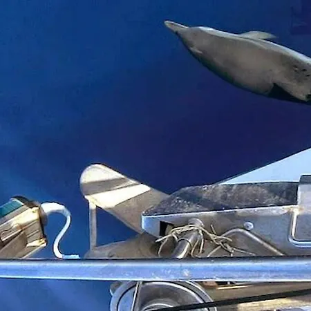 3 Or 5 Days Sailing Cruise In Croatia Σπλιτ